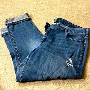 Lane Bryant straight crop cuffed distressed jeans. Size 22R. Excellent condition